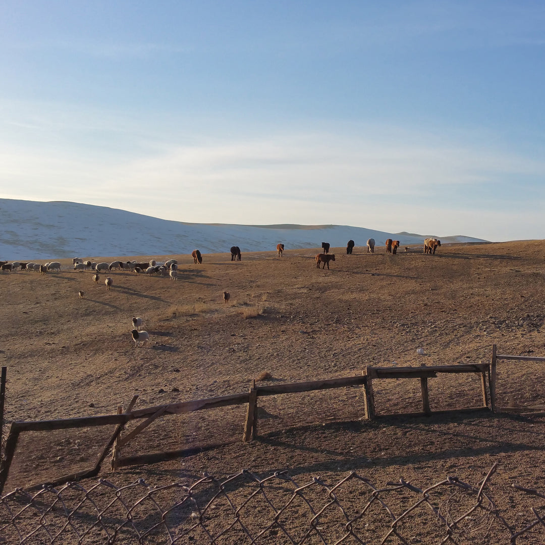 2015-02-13 17.16.jpg__PID:8e34d6b3-0b60-4a86-a416-b0a827889487