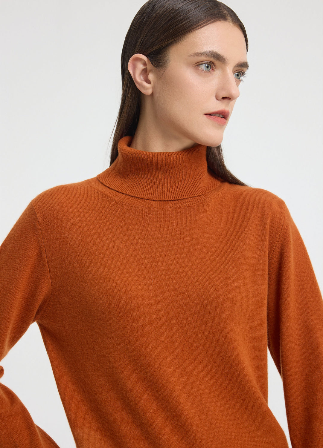 Cashmere Roll-Neck Top