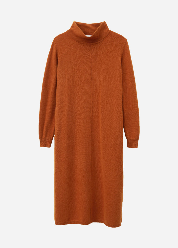 Cashmere Relaxed Funnel Neck Dress